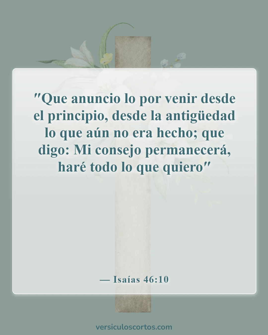 Versículos de la Biblia sobre que Dios tiene el control (Isaías 46:10)