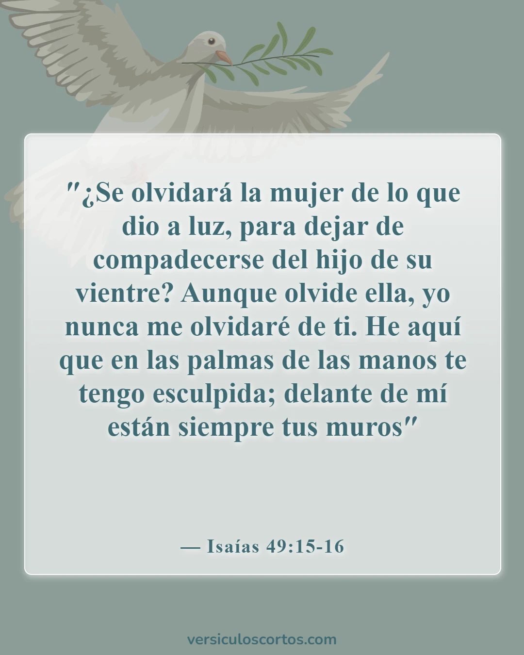 Versículos de la Biblia sobre bebés (Isaías 49:15-16)