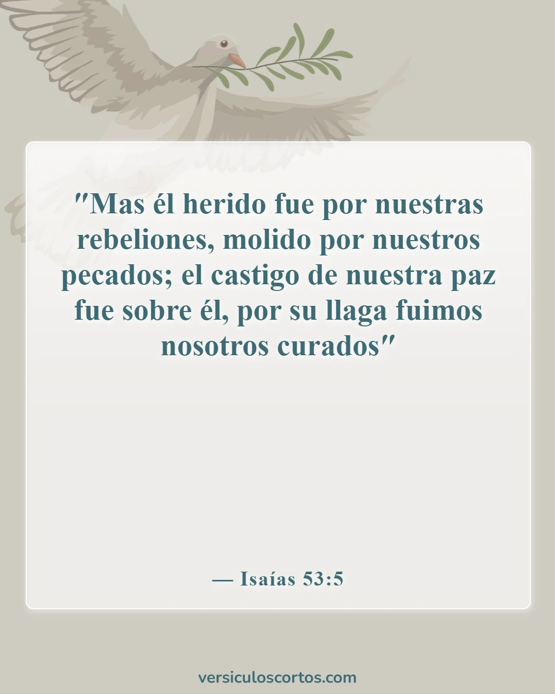 Versículos bíblicos sobre la salvación (Isaías 53:5)