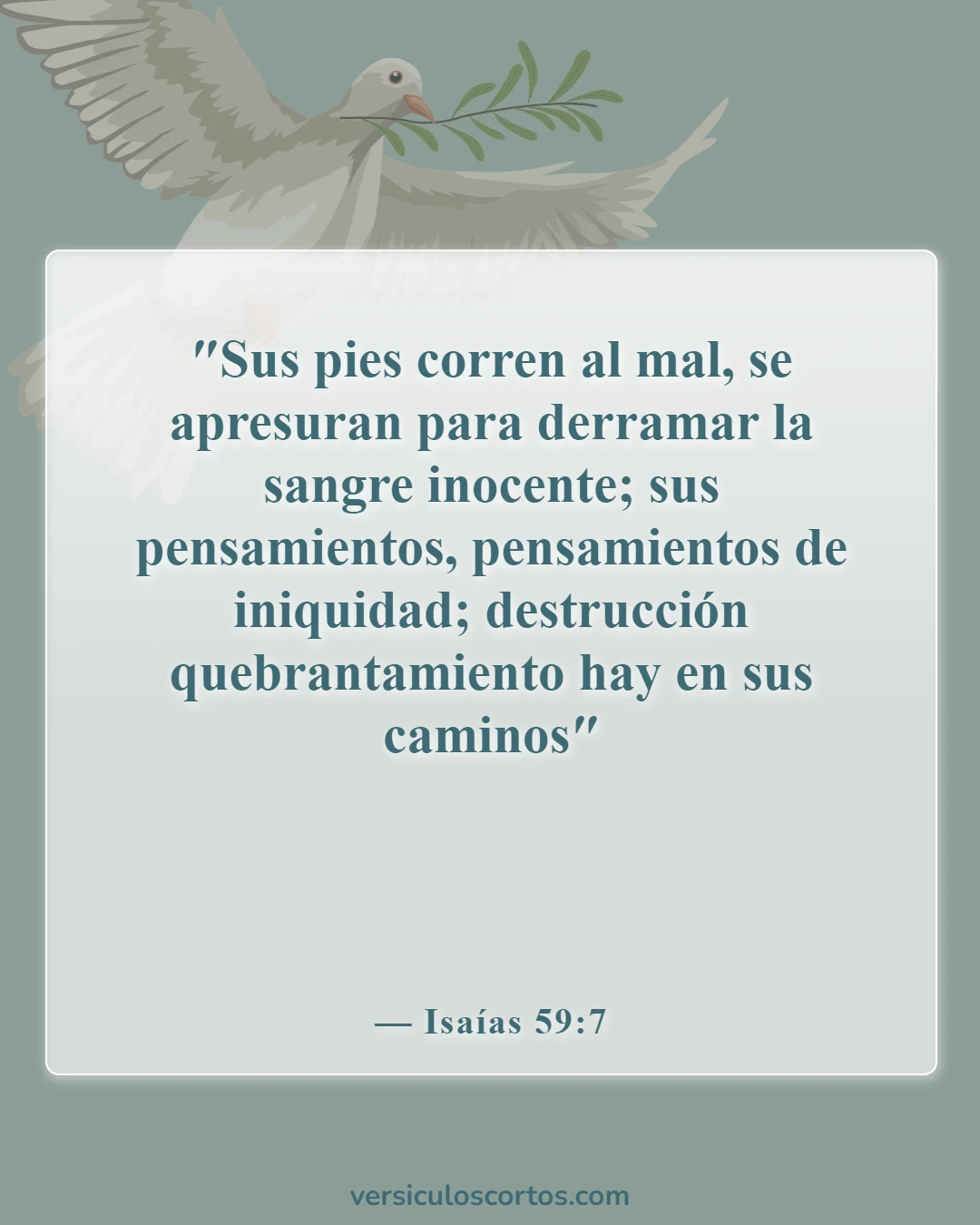 Versículos de la Biblia sobre el asesinato (Isaías 59:7)