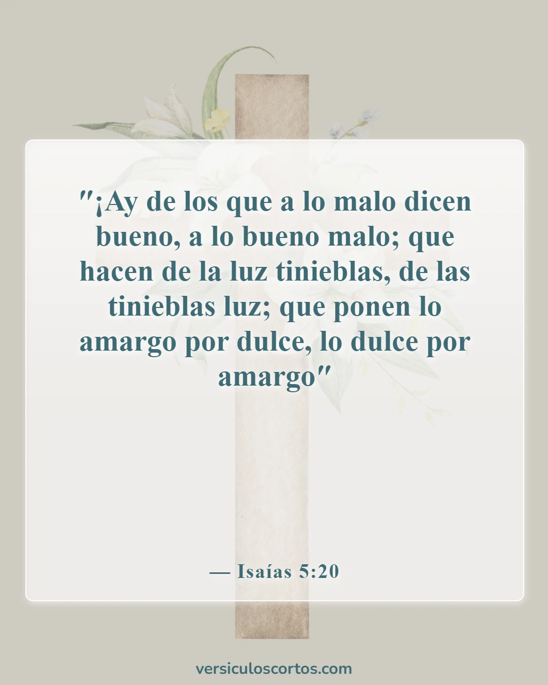 Versículos de la Biblia sobre salir con un no creyente (Isaías 5:20)