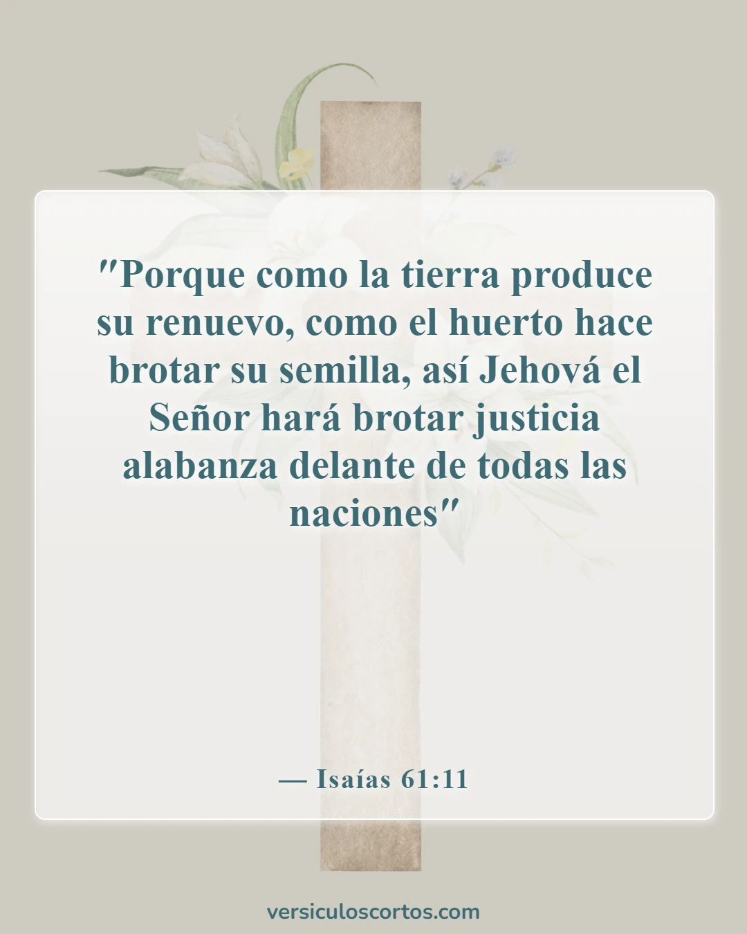 Versículos de la Biblia sobre la Justicia de Dios (Isaías 61:11)
