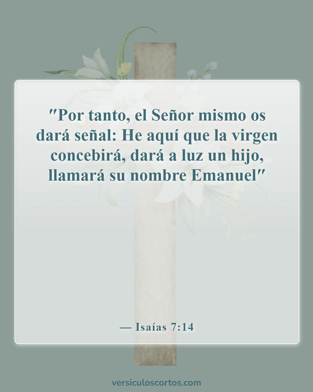 Versículos de la Biblia sobre la celebración de la Navidad (Isaías 7:14)