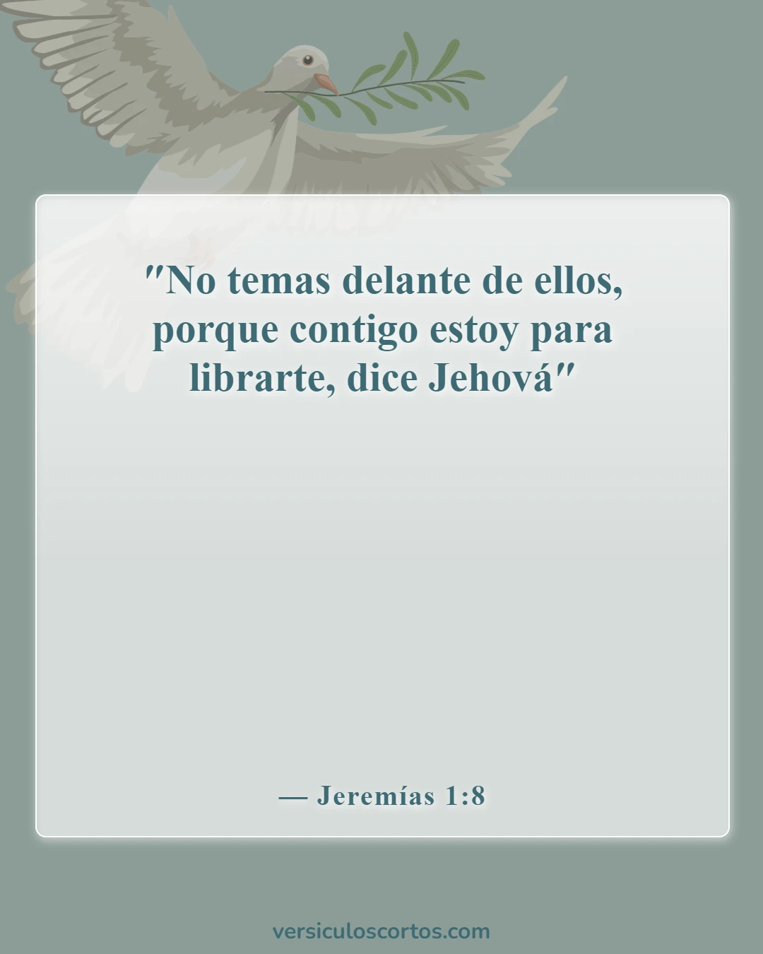 Versículos de la Biblia sobre superar el rechazo (Jeremías 1:8)