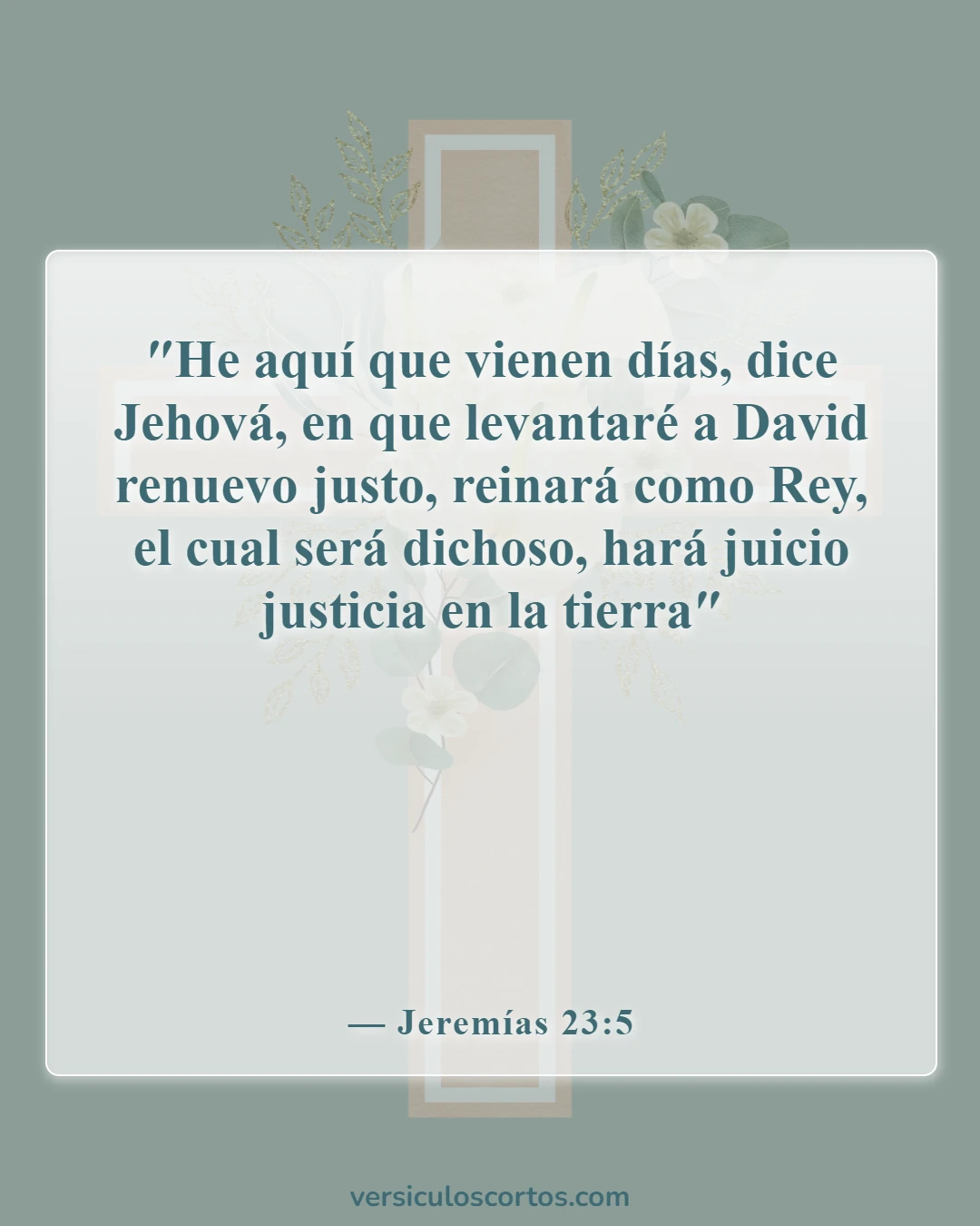 Versículos bíblicos sobre el regreso de Cristo (Jeremías 23:5)