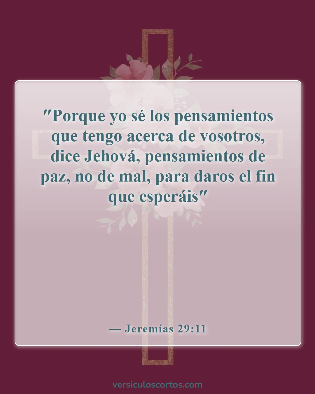 Versículos de la Biblia sobre la Apreciación de la Vida (Jeremías 29:11)