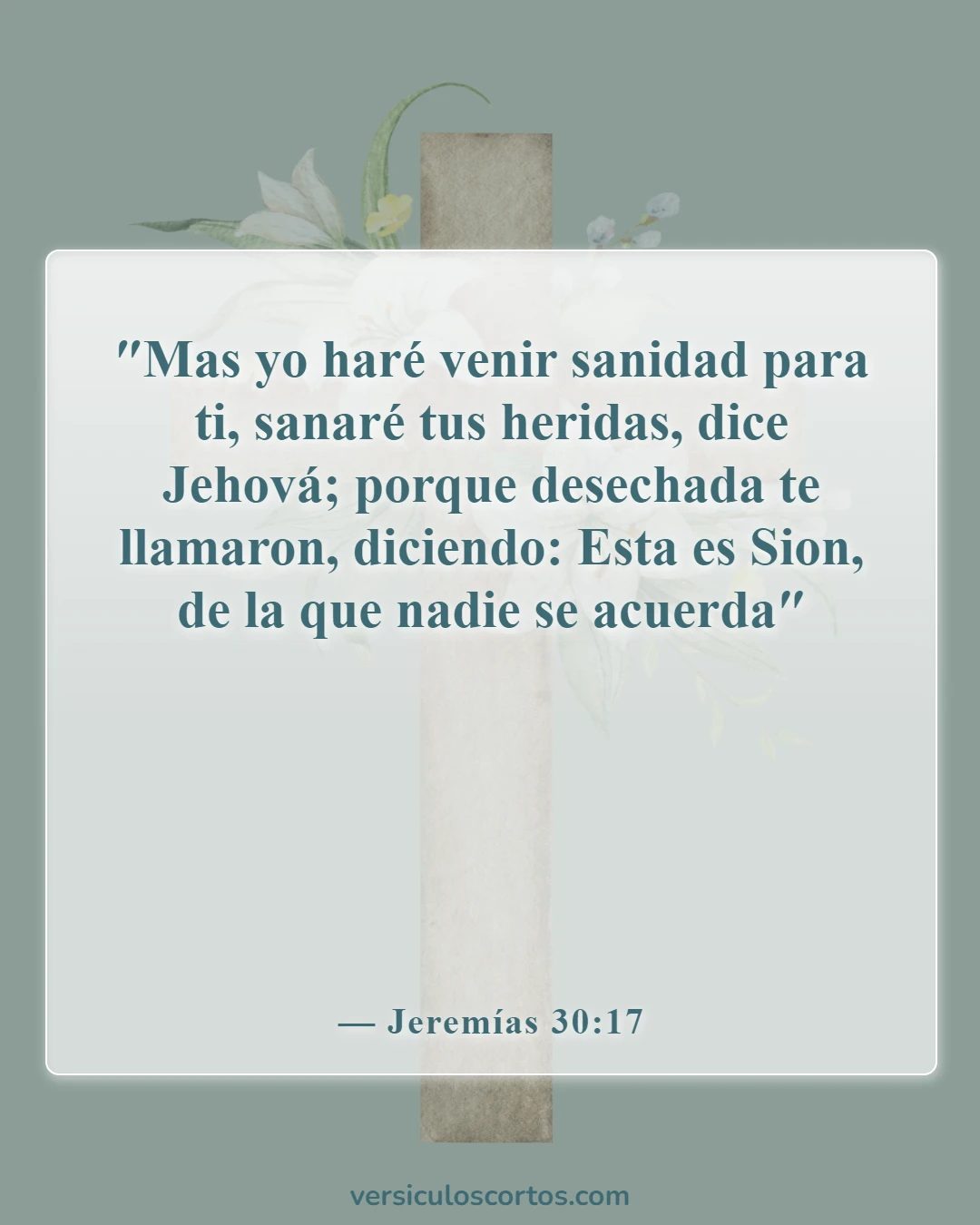 Versículos de la Biblia sobre la sanación divina (Jeremías 30:17)