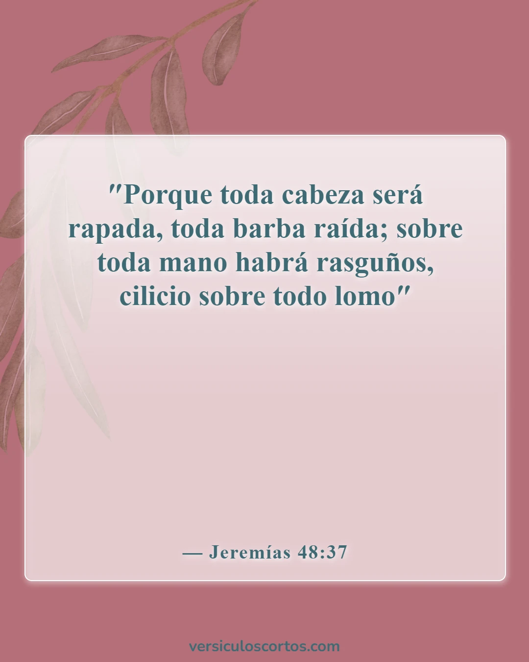 Versículos de la Biblia sobre el luto (Jeremías 48:37)