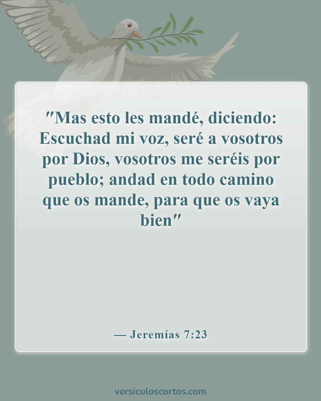 Versículos bíblicos sobre la obediencia a Dios (Jeremías 7:23)
