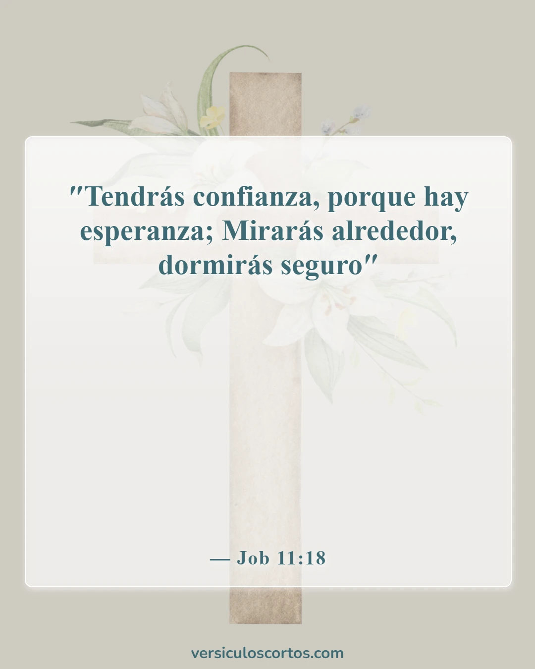 Versículos bíblicos sobre encontrar esperanza (Job 11:18)