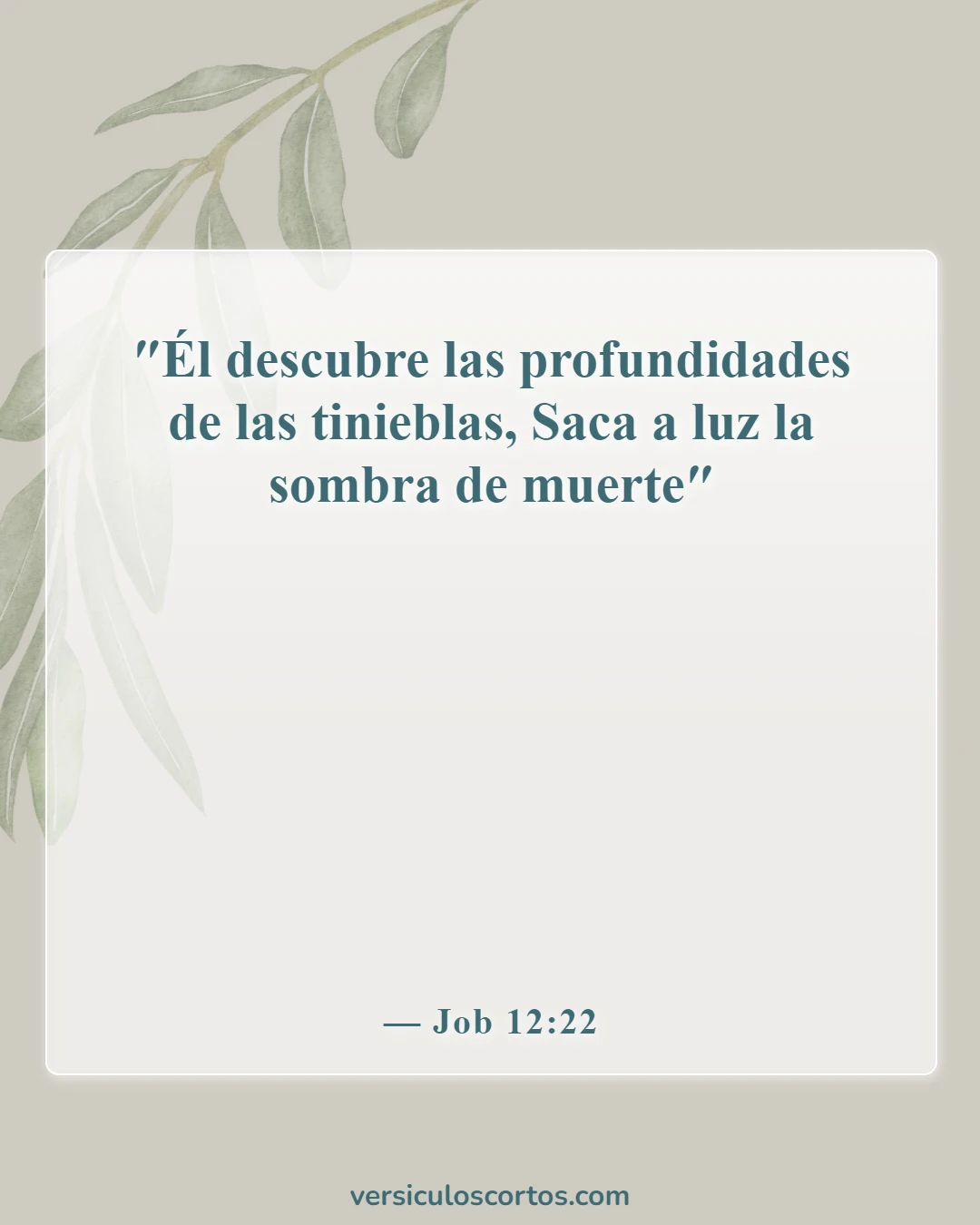Versículos de la Biblia sobre Dios hablándote (Job 12:22)