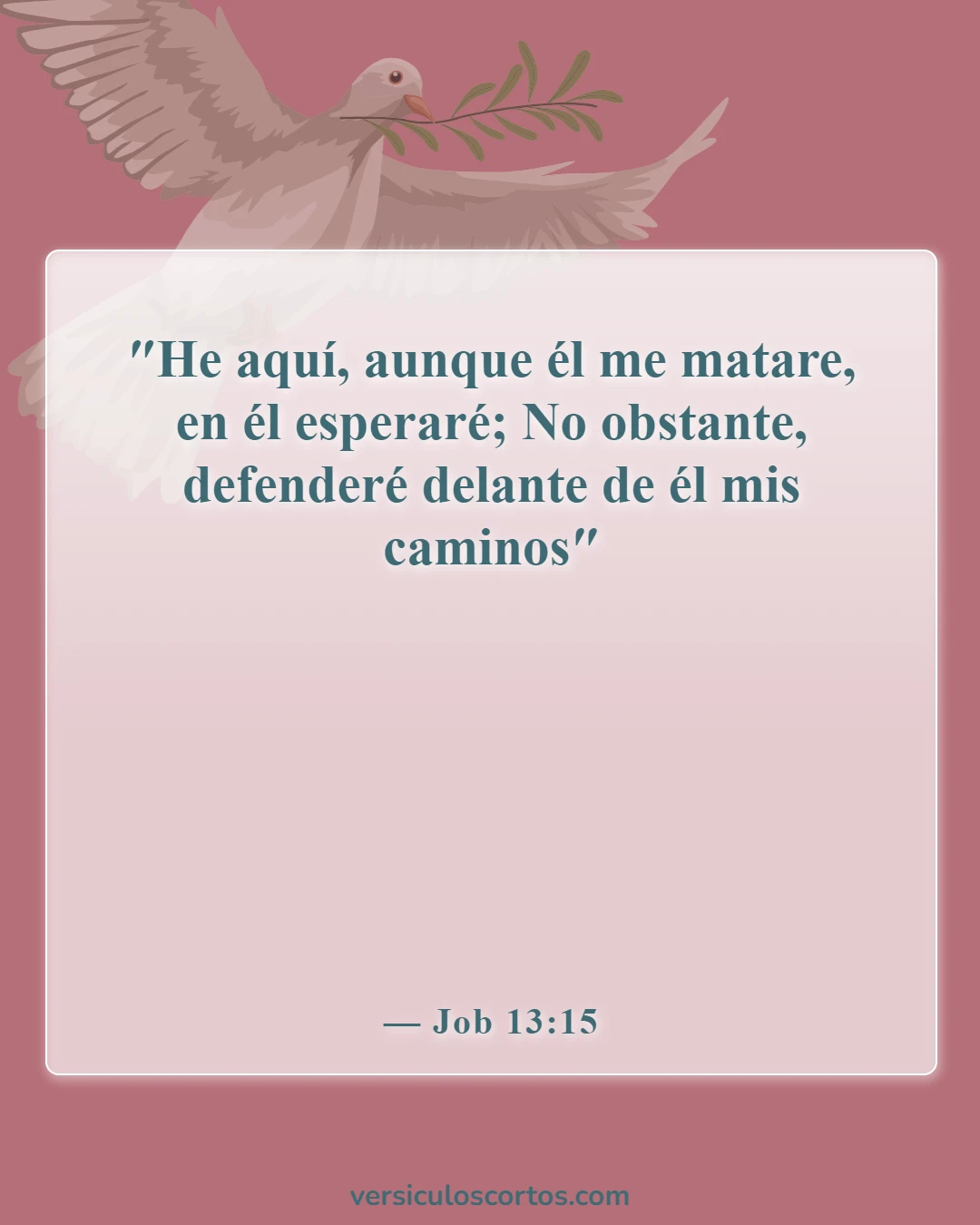 Versículos bíblicos sobre encontrar esperanza (Job 13:15)