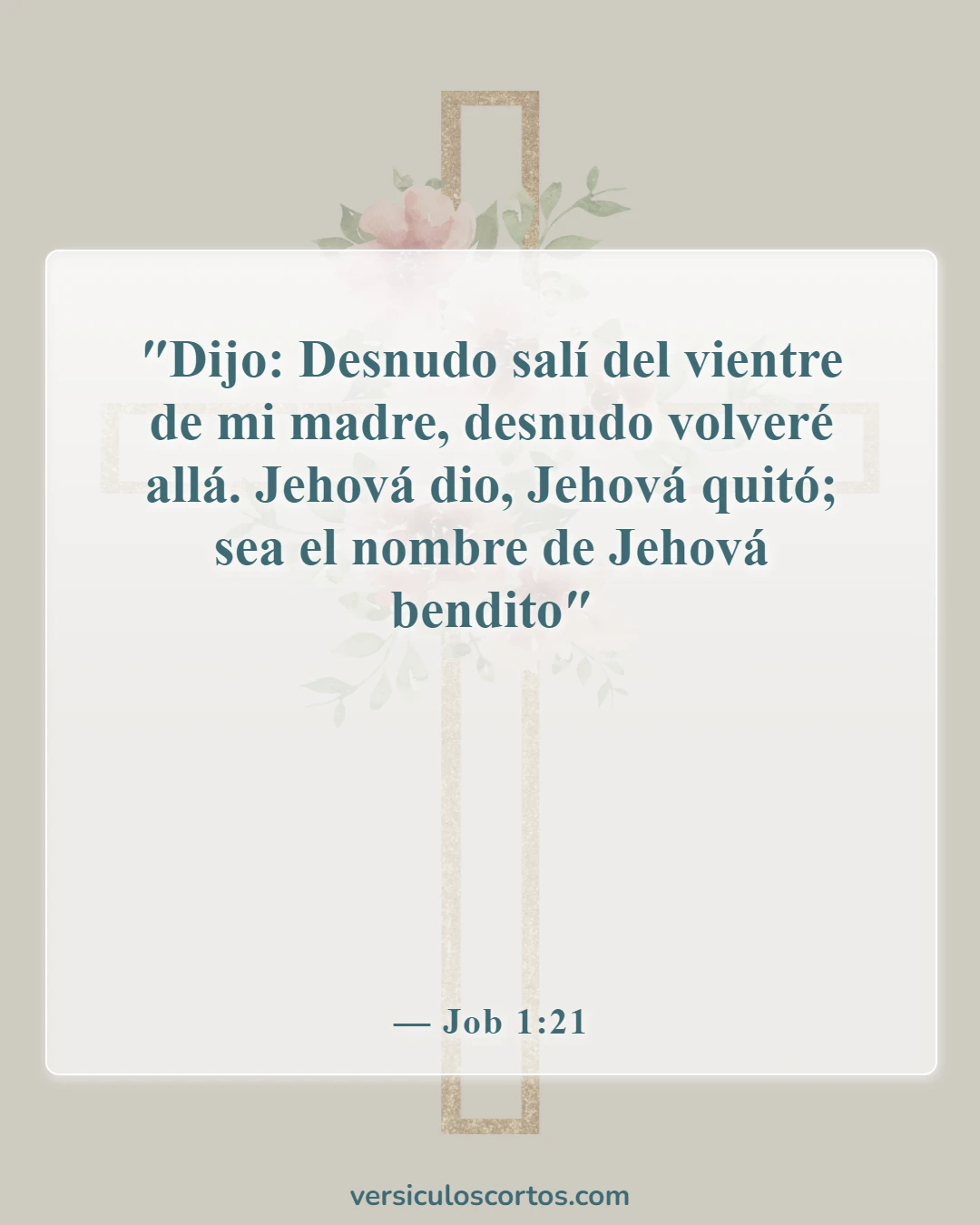 Versículos bíblicos sobre posesiones terrenales (Job 1:21)