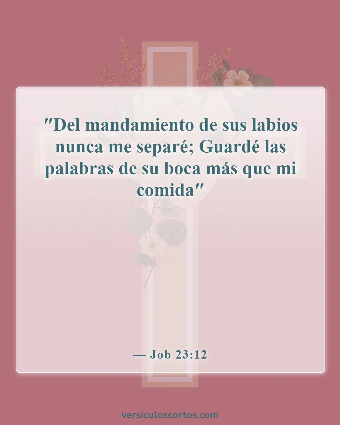 Versículos bíblicos sobre el alimento espiritual (Job 23:12)