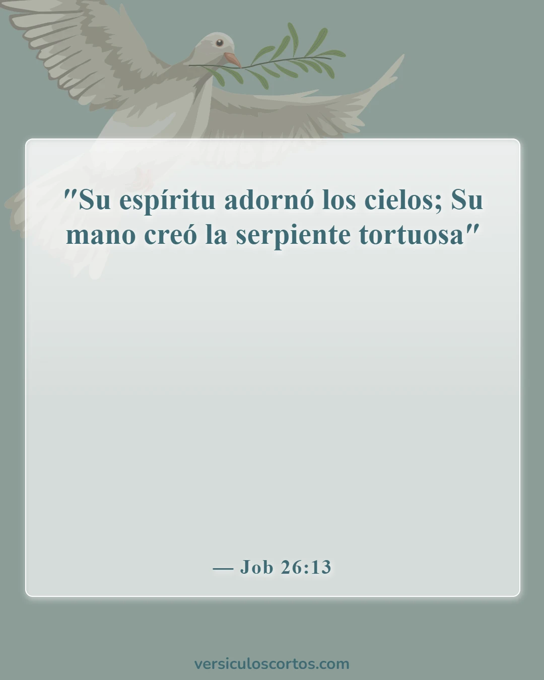 Versículos de la Biblia sobre la mano de Dios (Job 26:13)