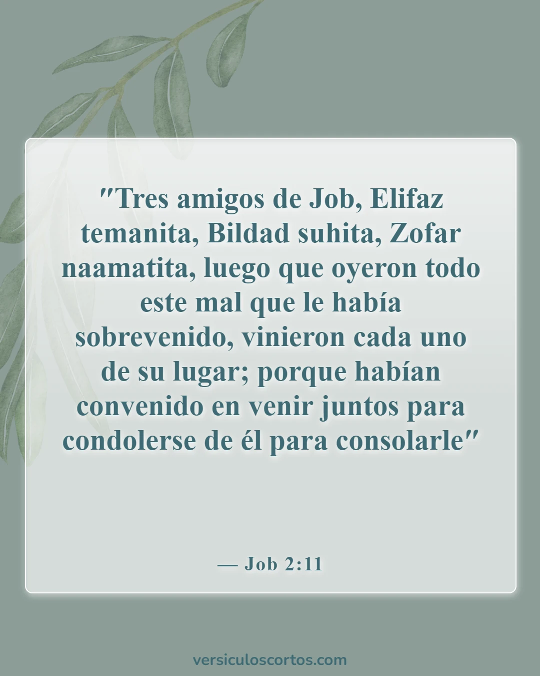 Versículos de la Biblia sobre el luto (Job 2:11)