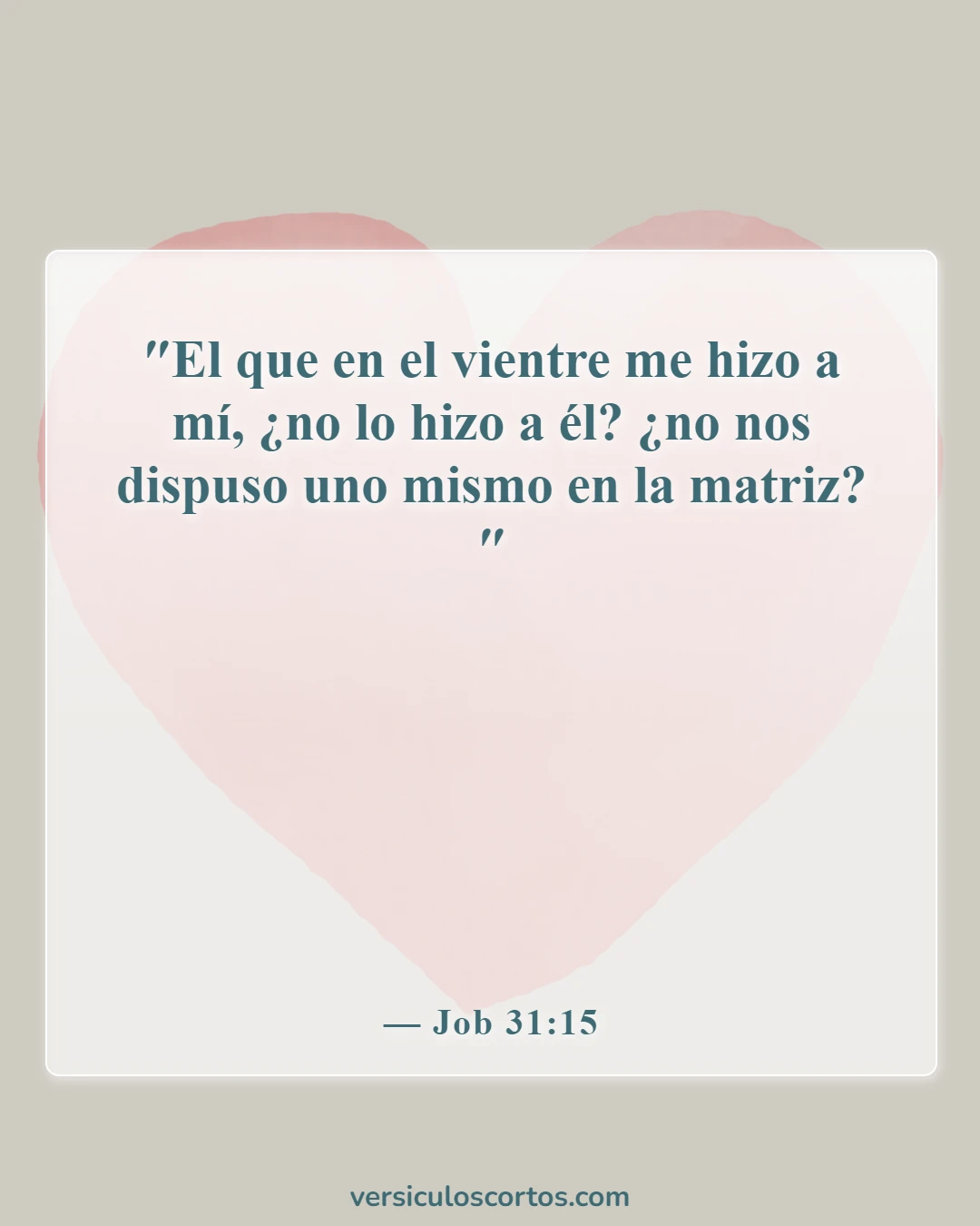 Versículos de la Biblia sobre bebés (Job 31:15)