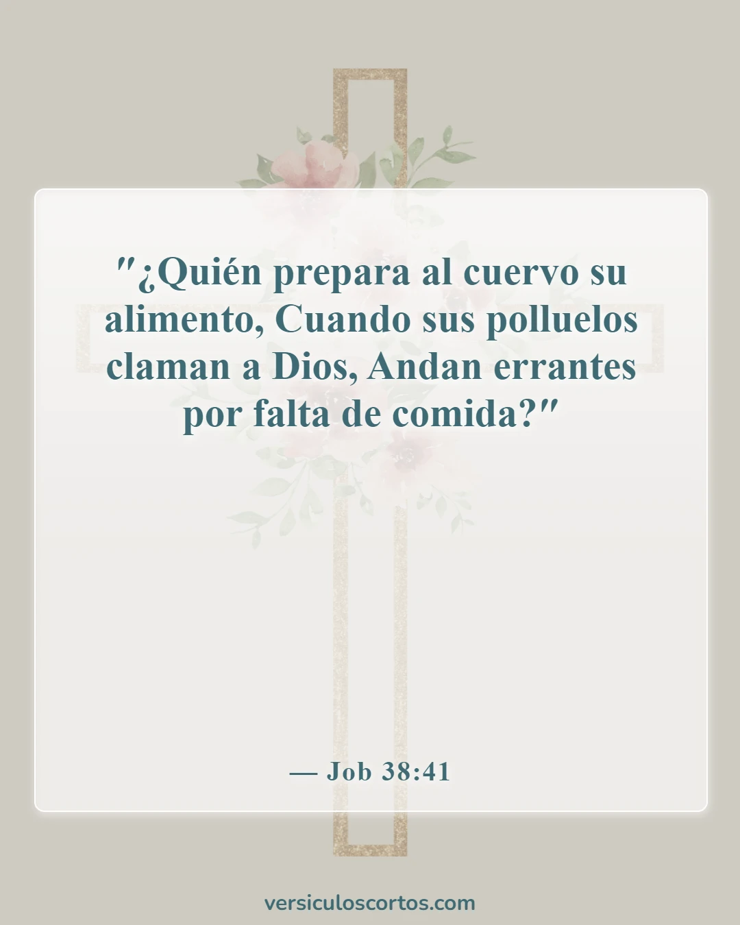 Versículos de la Biblia sobre comer pollo (Job 38:41)