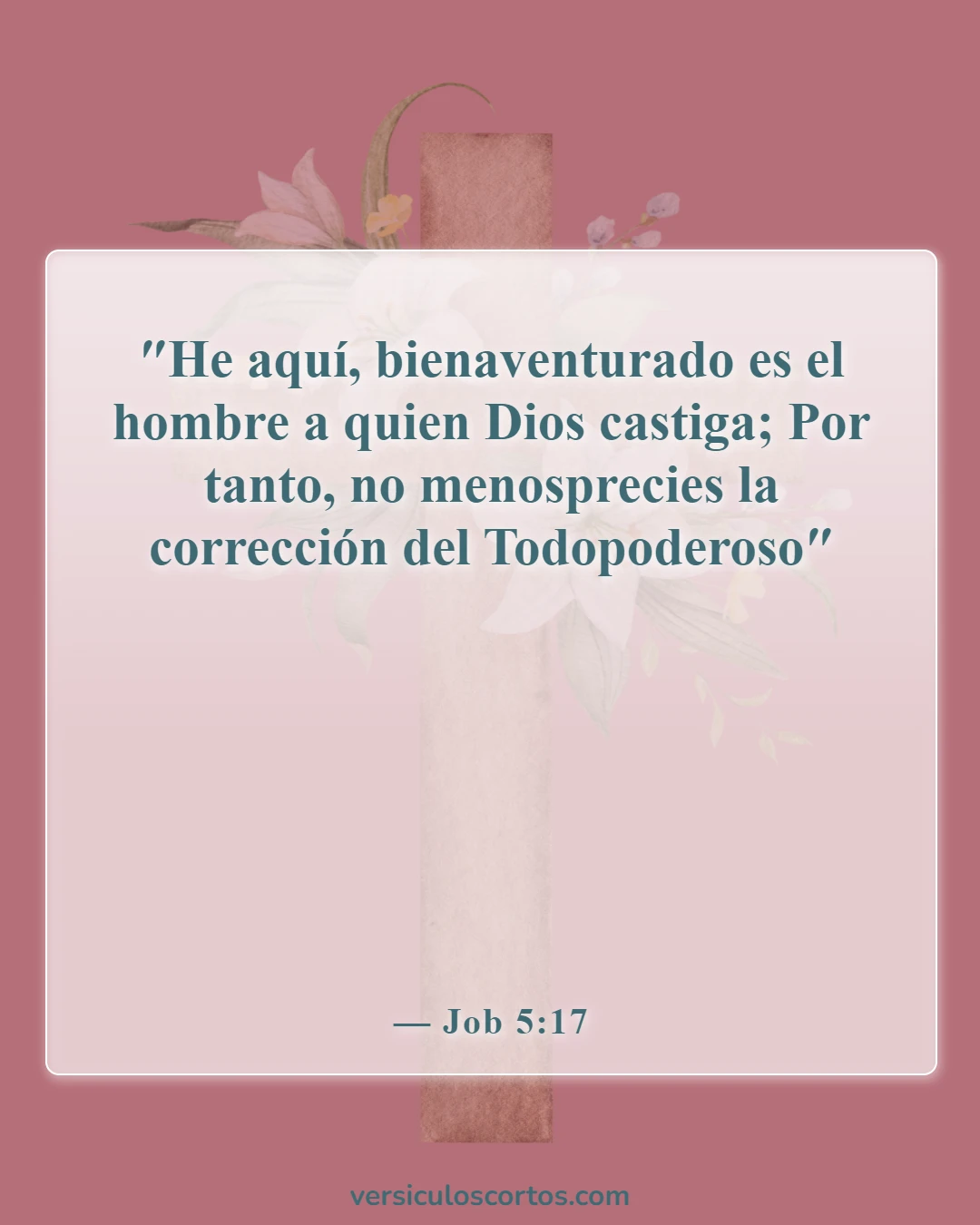 Versículos de la Biblia sobre bendiciones y maldiciones (Job 5:17)