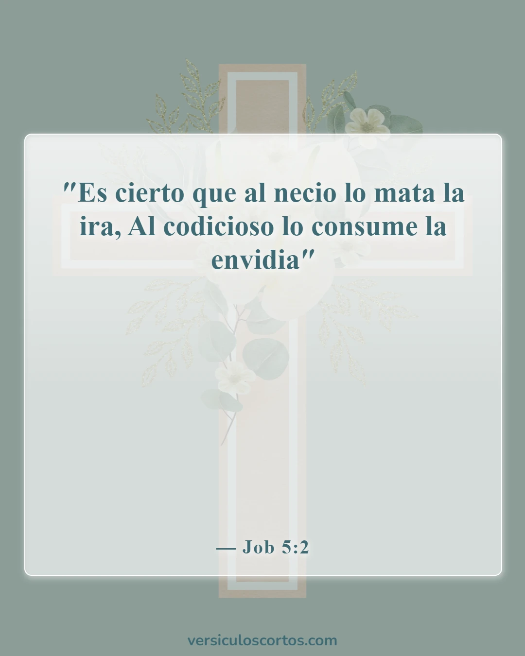 Versículos de la Biblia sobre los celos y la envidia (Job 5:2)