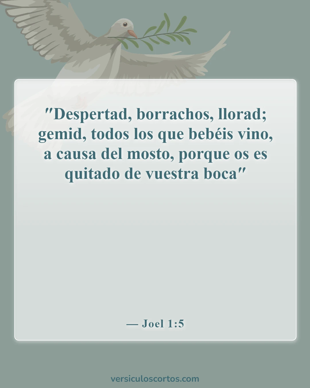Versículos de la Biblia sobre el consumo de alcohol (Joel 1:5)