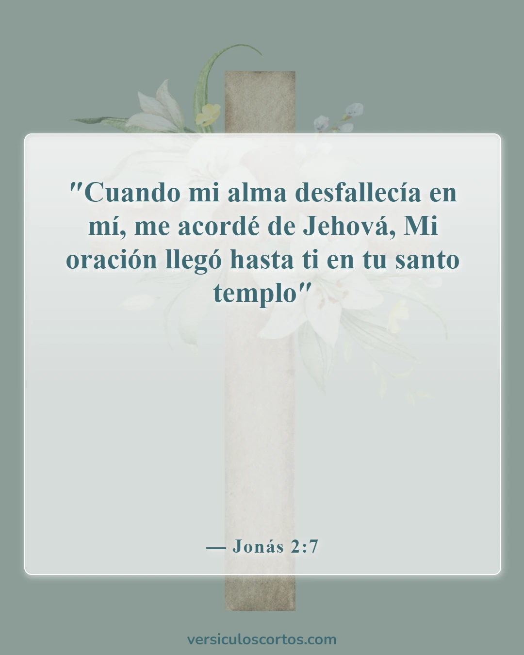 Versículos de la Biblia sobre cómo debemos orar (Jonás 2:7)
