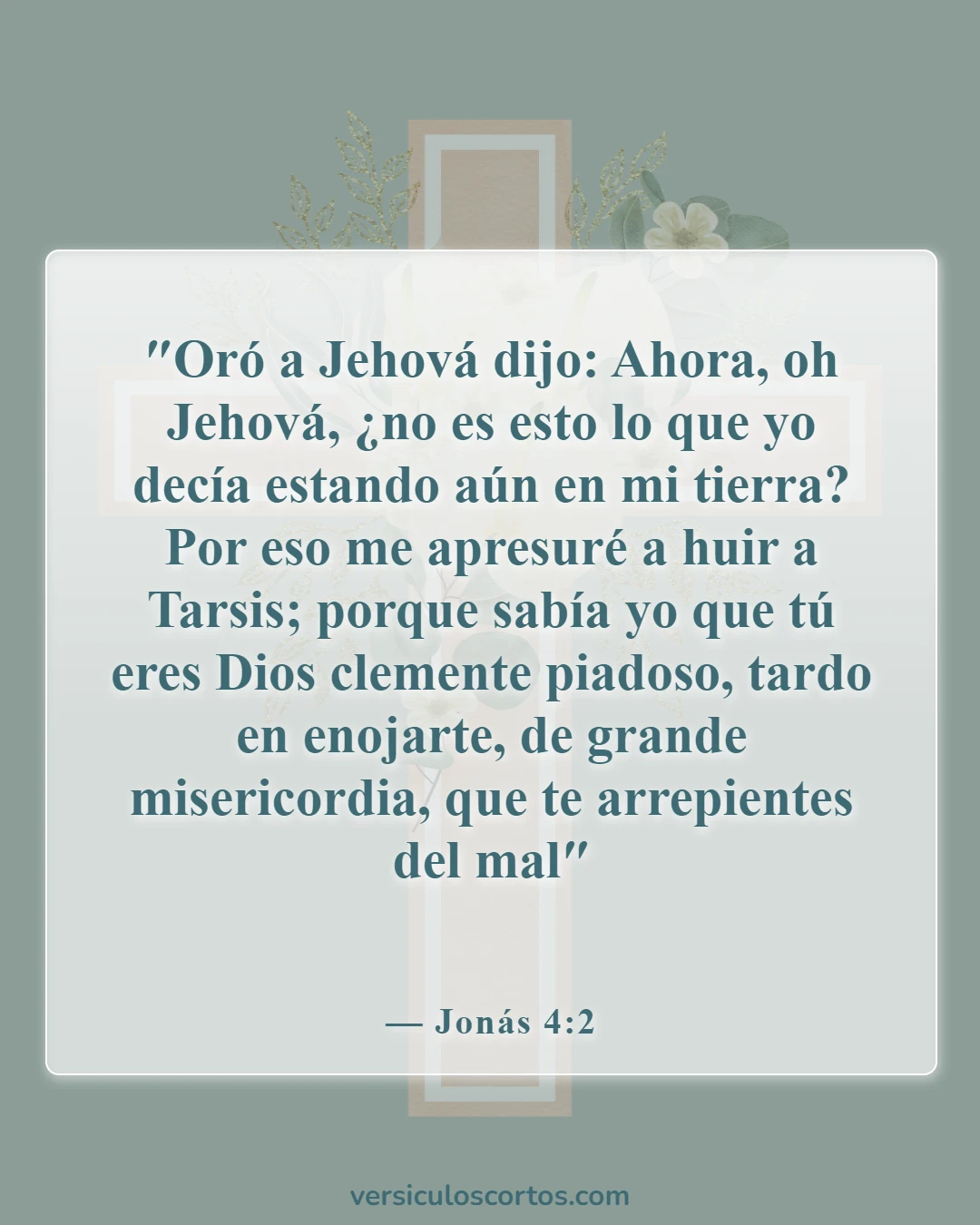 Versículos de la Biblia sobre la misericordia (Jonás 4:2)