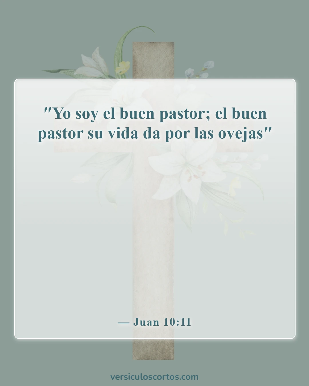 Versículos de la Biblia sobre Jesucristo (Juan 10:11)