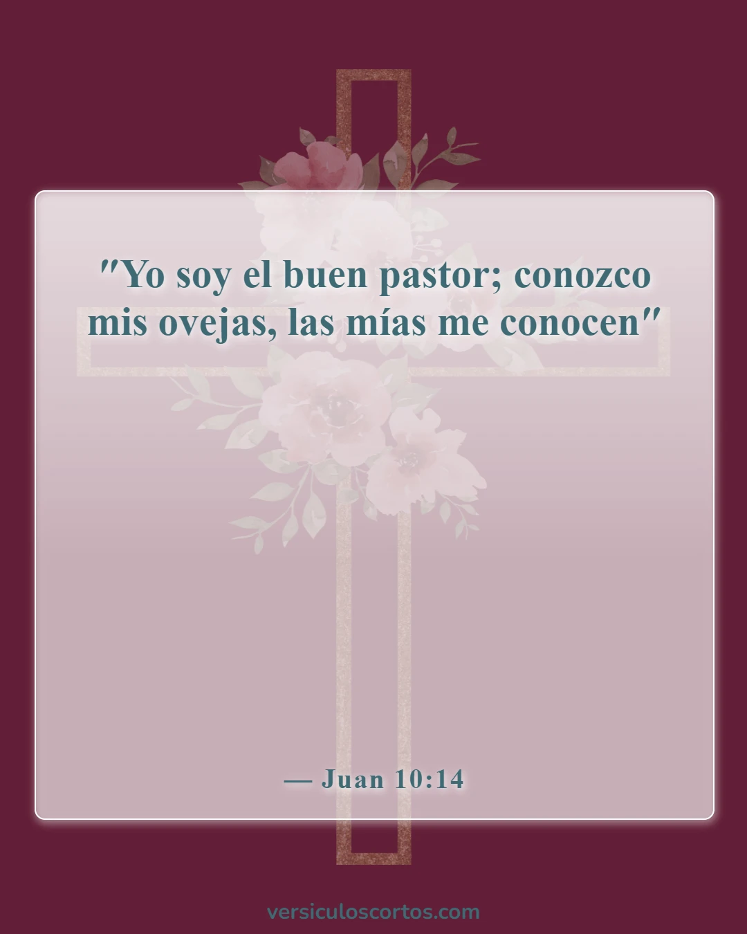 Versículos de la Biblia sobre conocer a Dios (Juan 10:14)