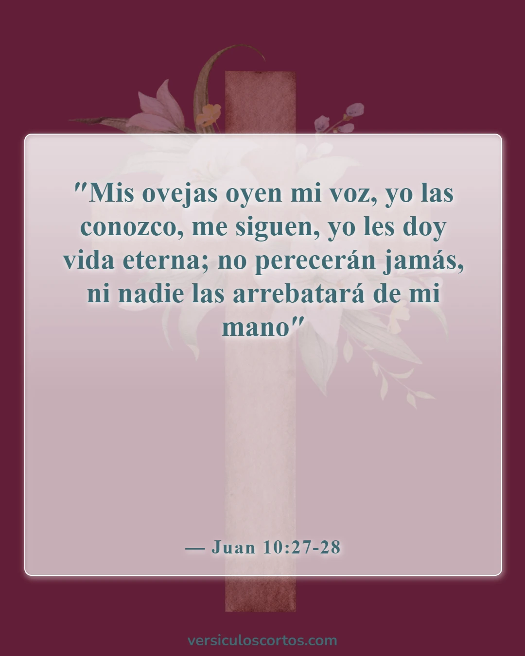 Versículos de la Biblia sobre los cristianos nacidos de nuevo (Juan 10:27-28)