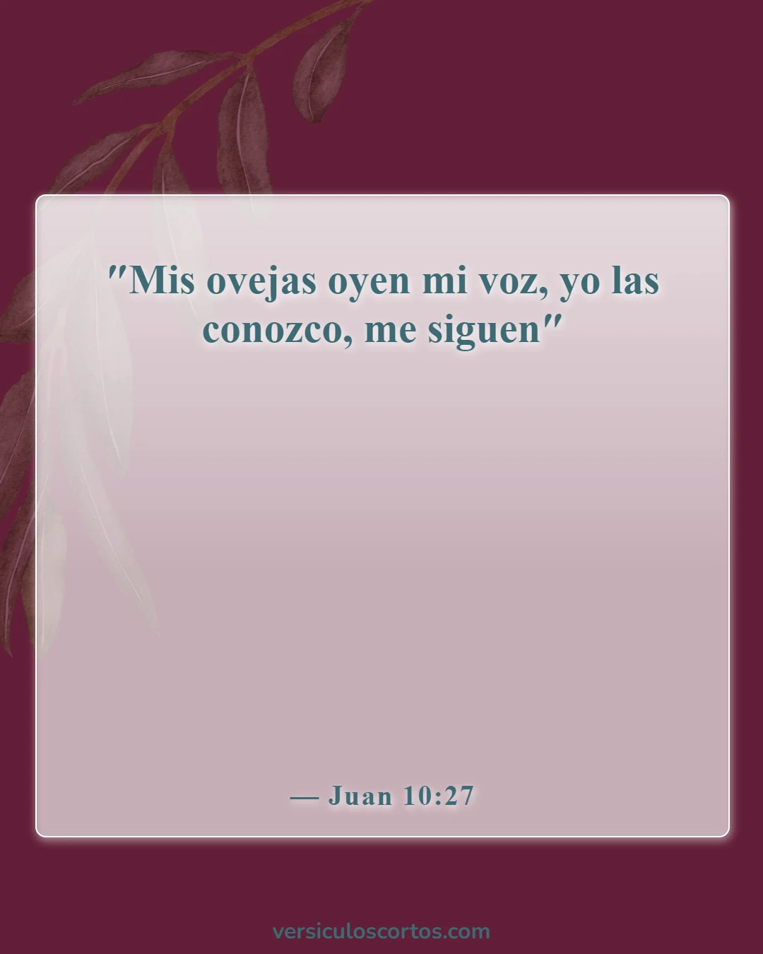 Versículos de la Biblia sobre los creyentes (Juan 10:27)