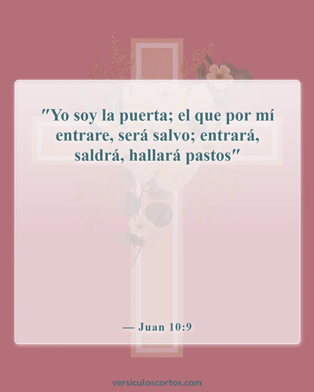 Versículos de la Biblia sobre cómo ser salvo (Juan 10:9)
