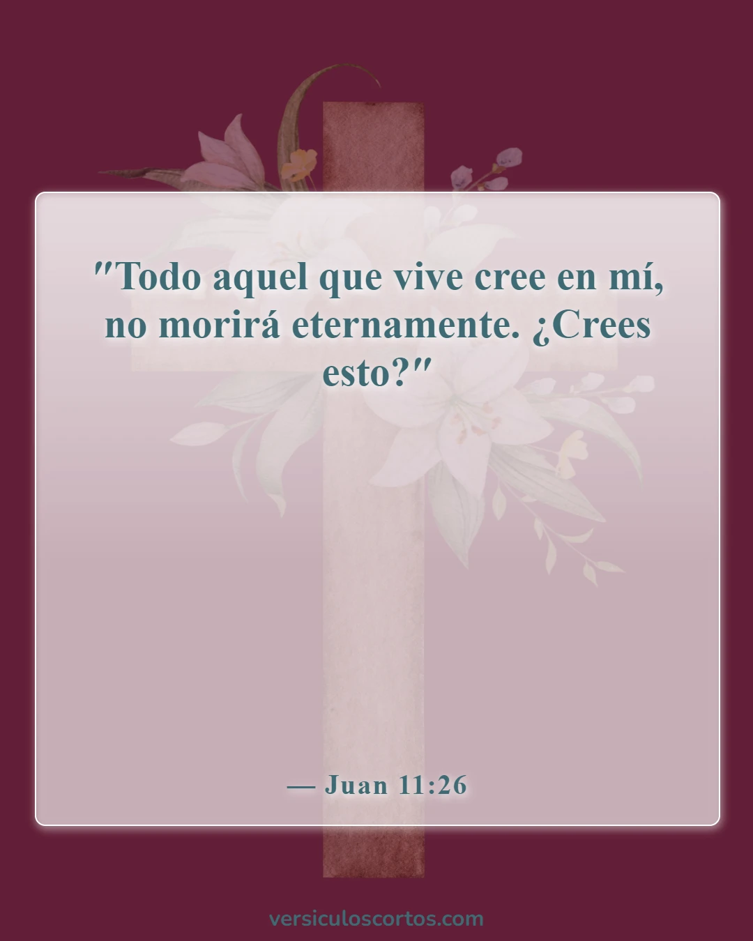 Versículos de la Biblia sobre la vida después de la muerte (Juan 11:26)