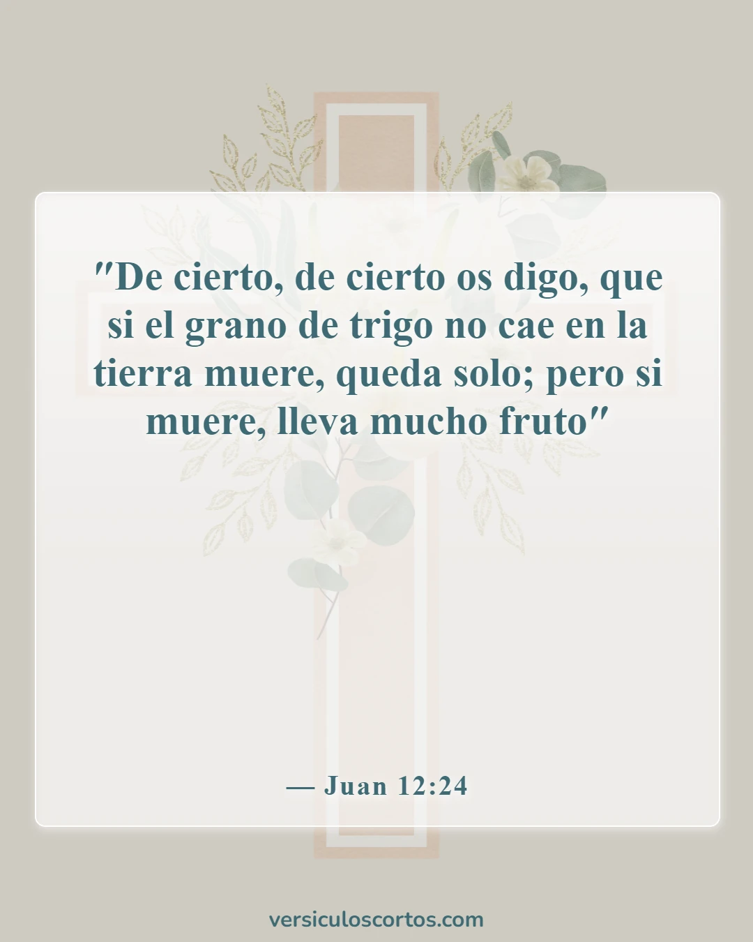 Versículos de la Biblia sobre llevar la cruz (Juan 12:24)