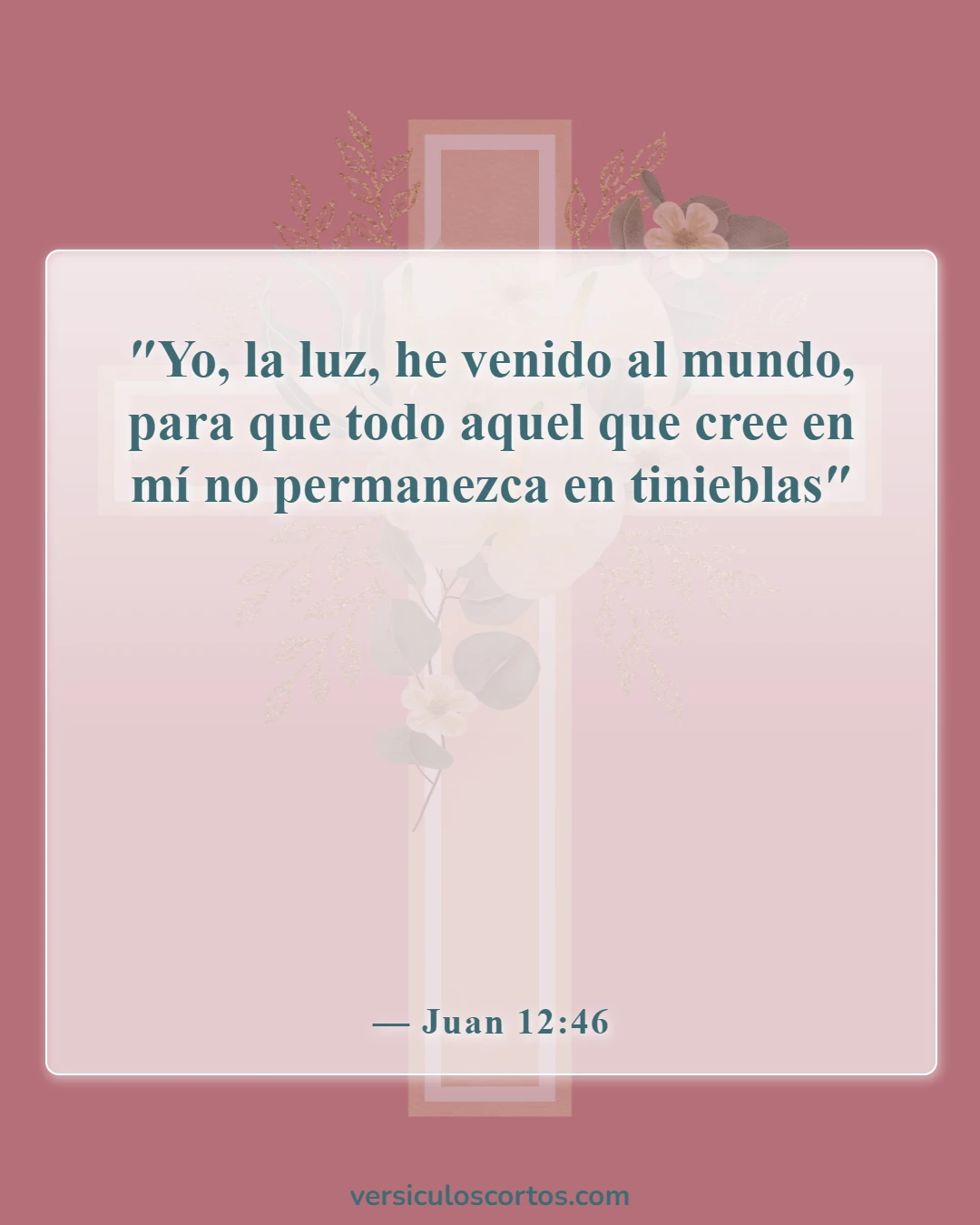 Versículos de la Biblia sobre Jesucristo (Juan 12:46)