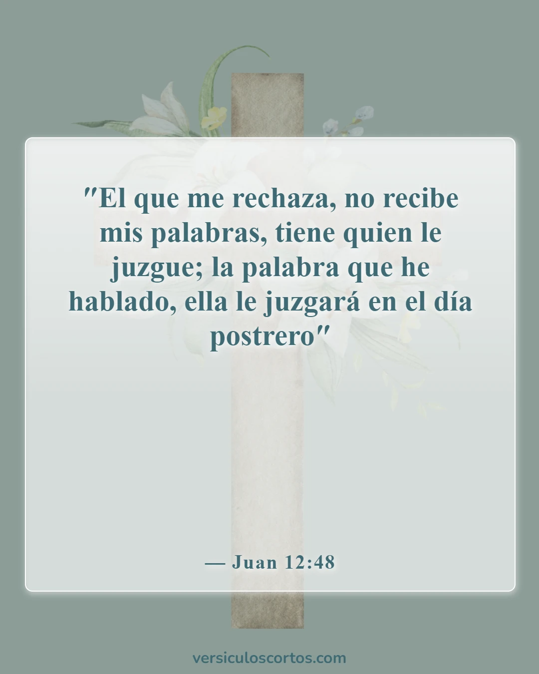 Versículos de la Biblia sobre los ateos (Juan 12:48)