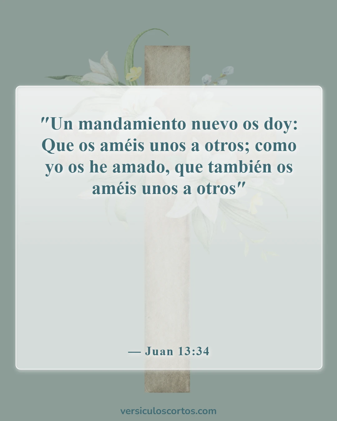 Versículos de la Biblia sobre perdonar a tus enemigos (Juan 13:34)