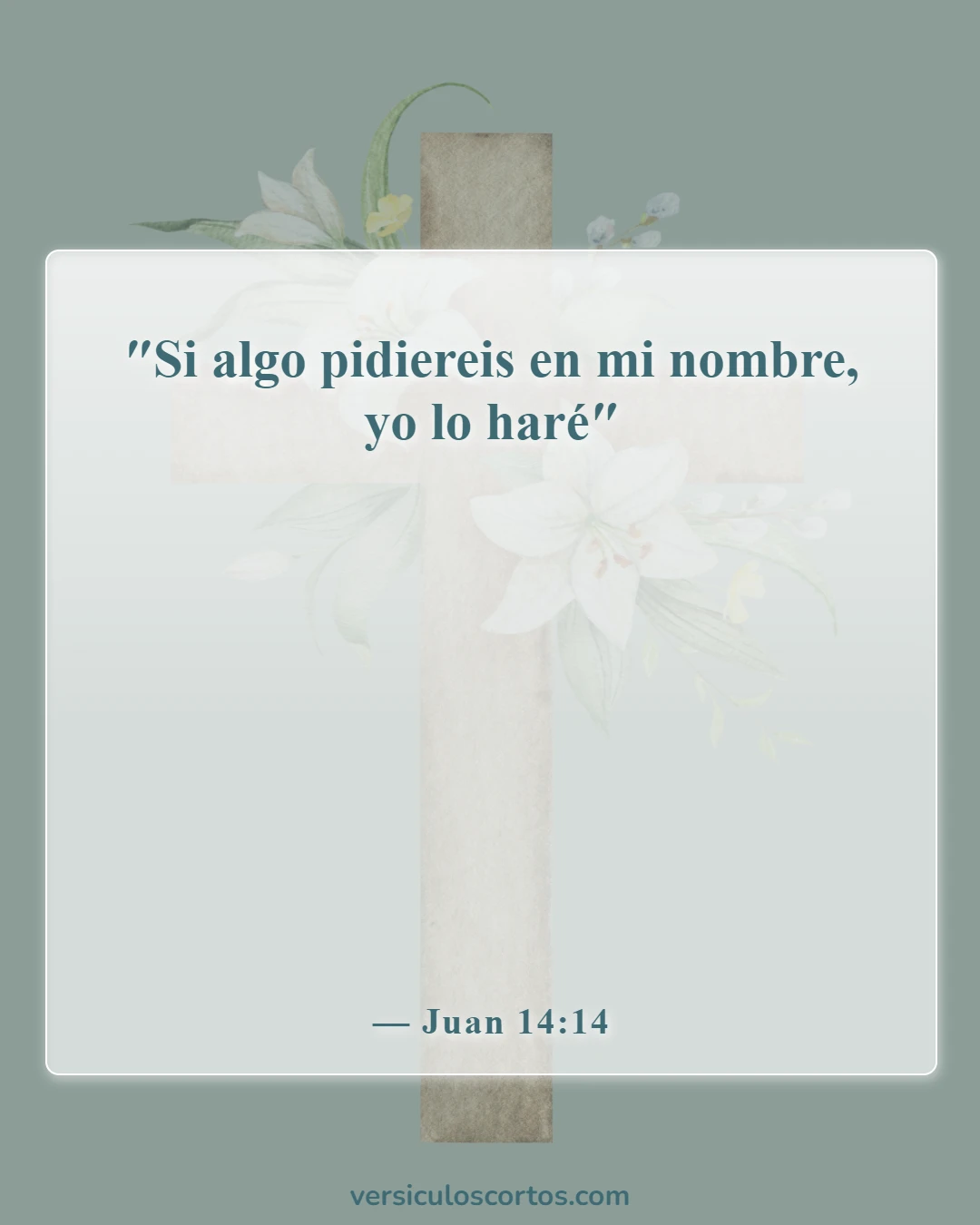 Versículos de la Biblia sobre pedir en oración (Juan 14:14)