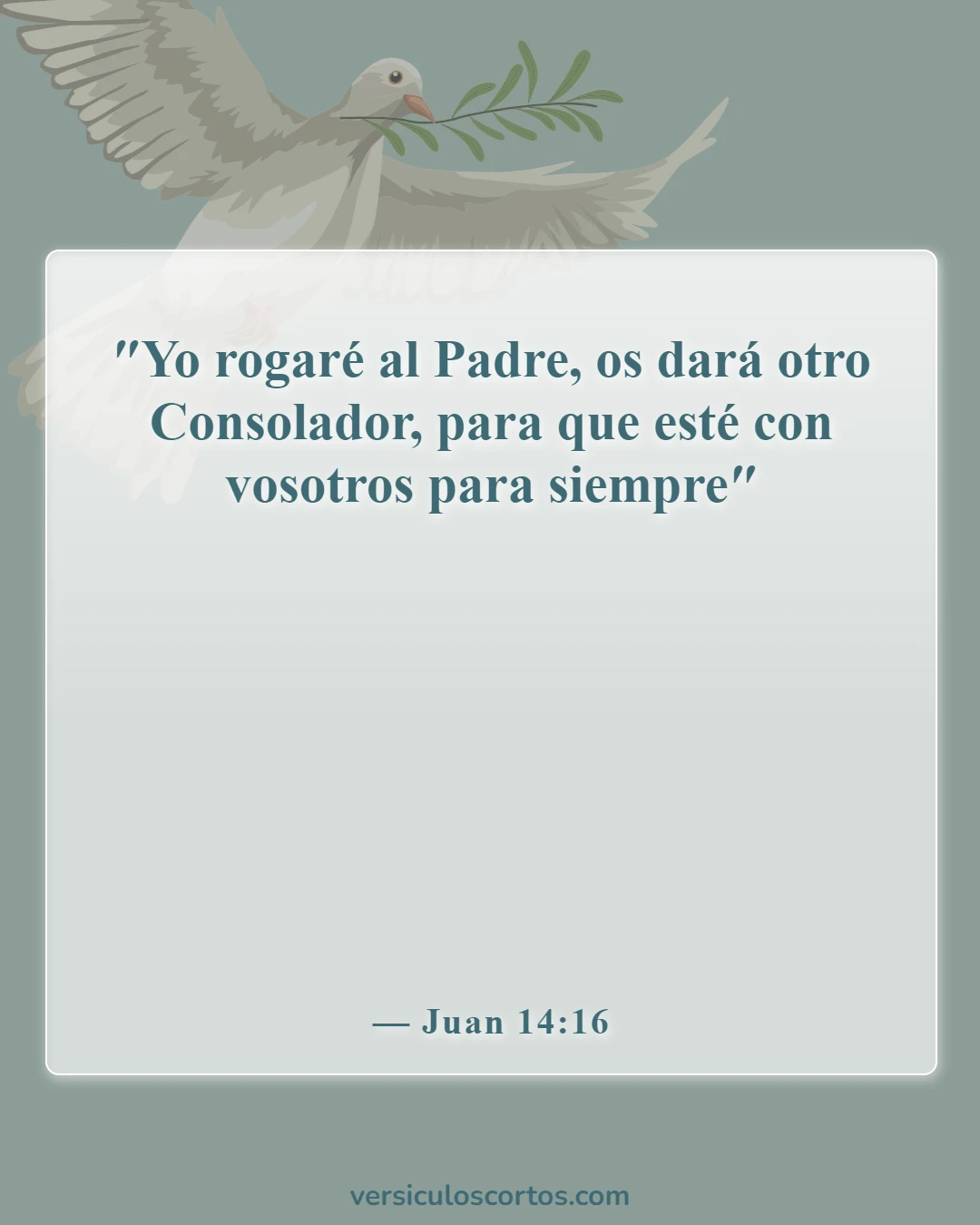 Versículos de la Biblia sobre recibir el Espíritu Santo (Juan 14:16)