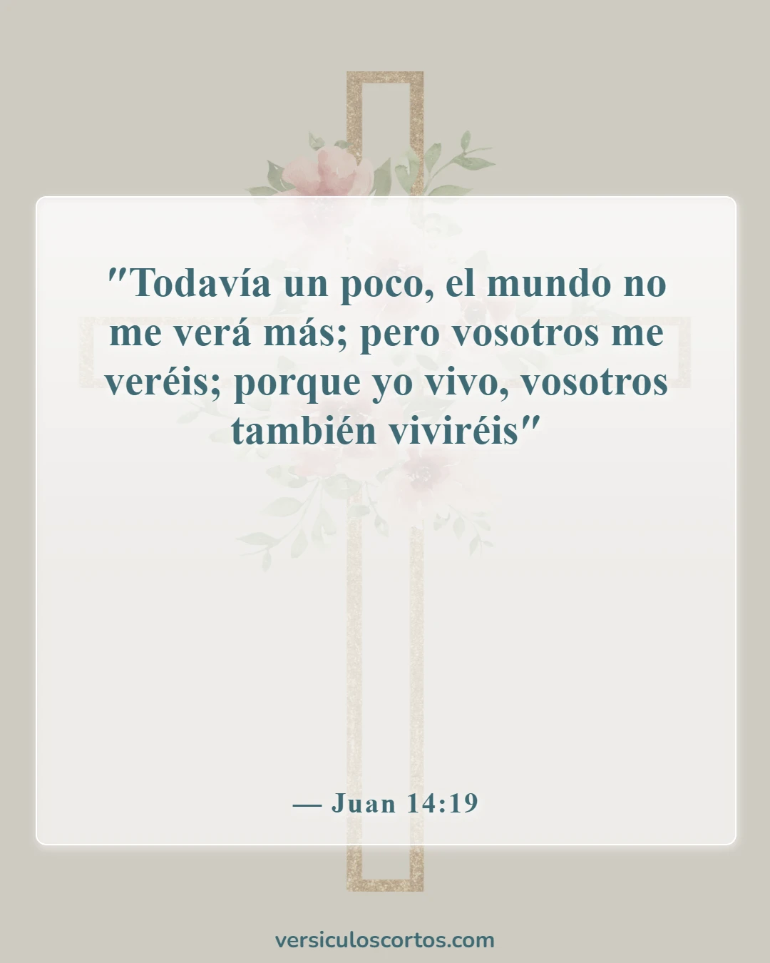 Versículos de la Biblia sobre la Resurrección de Cristo (Juan 14:19)
