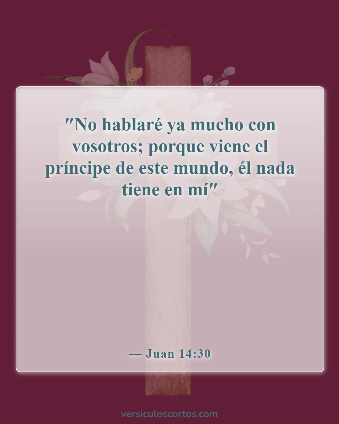 Versículos de la Biblia sobre el padre de todas las mentiras (Juan 14:30)