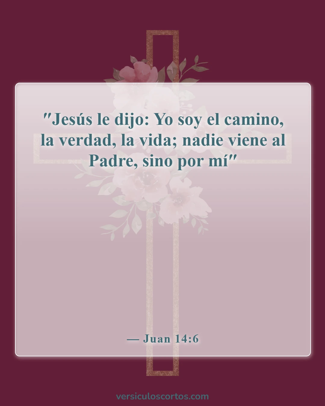 Versículos bíblicos sobre la salvación (Juan 14:6)