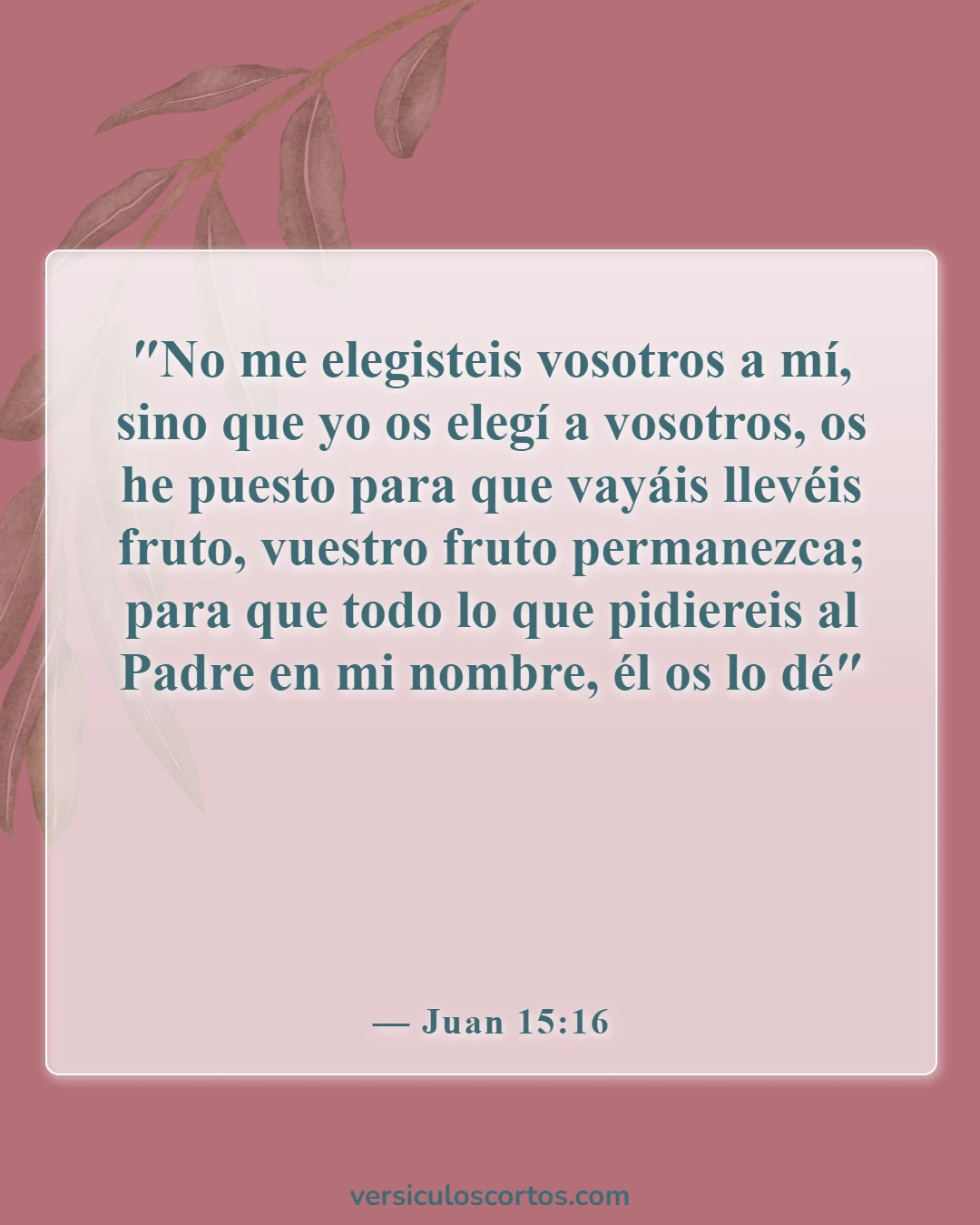 Versículos de la Biblia sobre los creyentes (Juan 15:16)