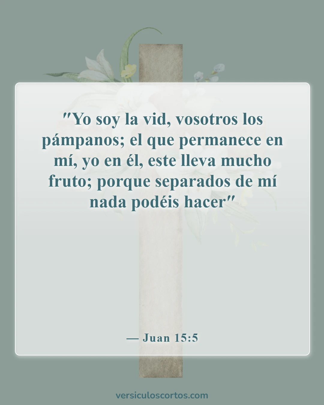 Versículos de la Biblia sobre el verdadero cristiano (Juan 15:5)