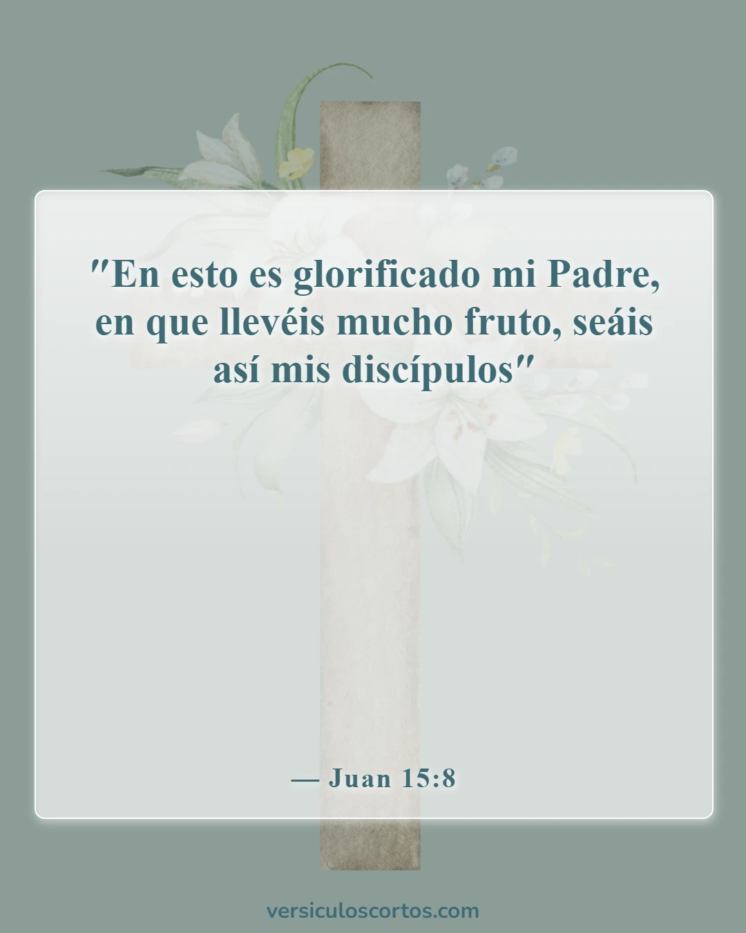 Versículos de la Biblia sobre el verdadero cristiano (Juan 15:8)