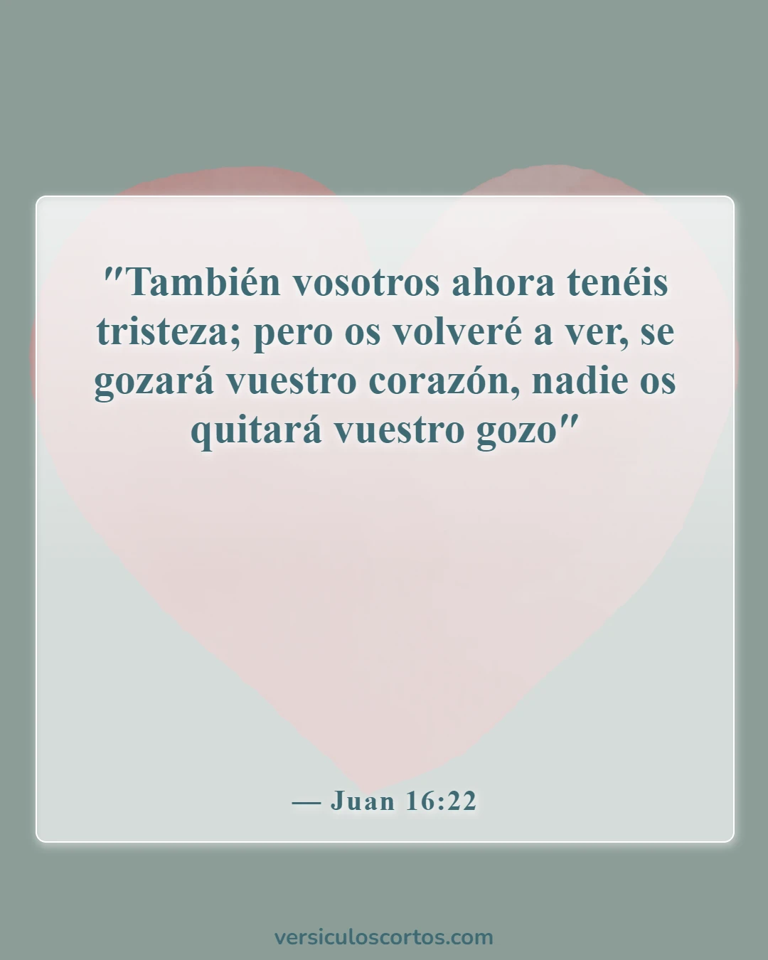 Versículos de la Biblia sobre el luto (Juan 16:22)