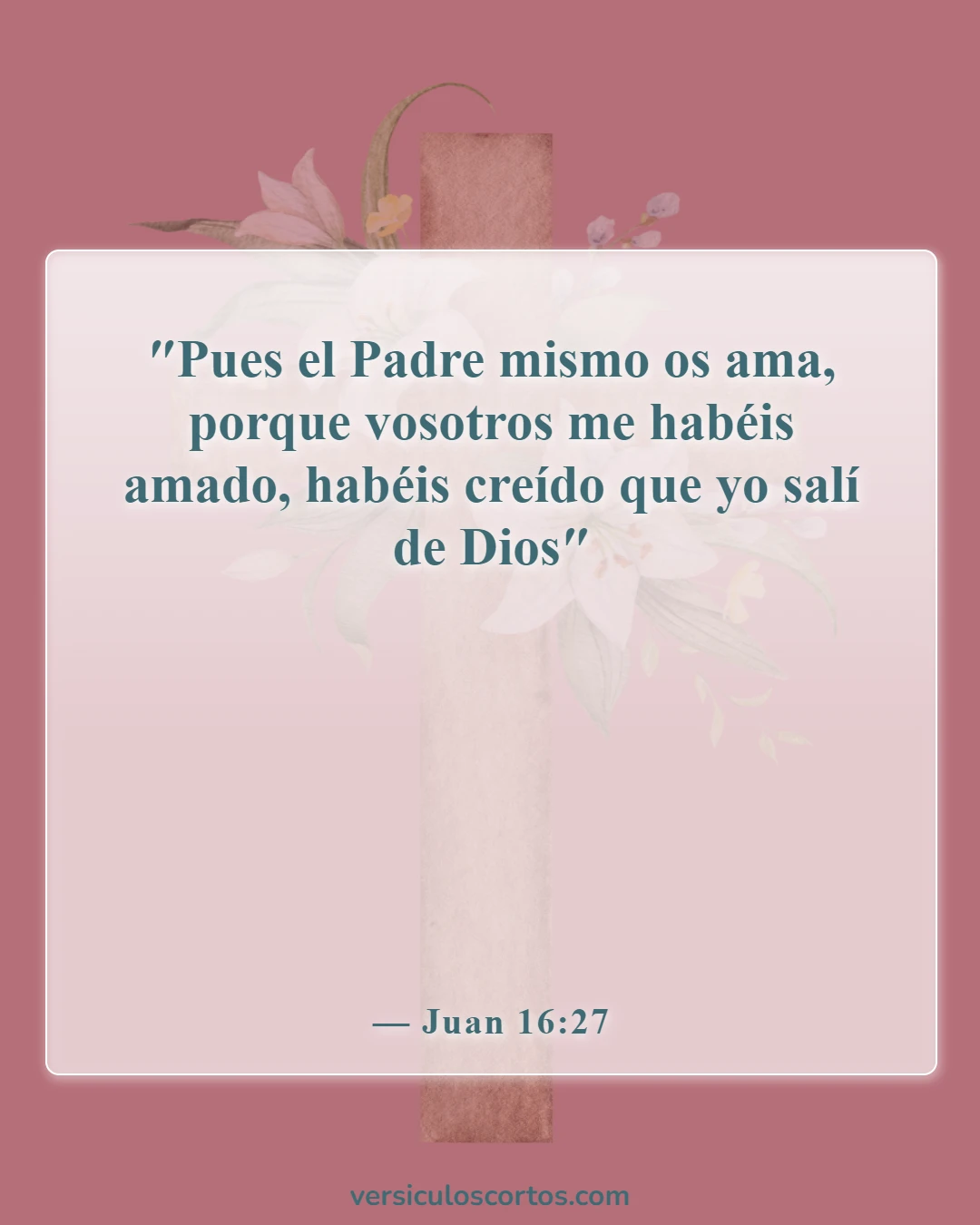 Versículos de la Biblia sobre pedir en el nombre de Jesús (Juan 16:27)