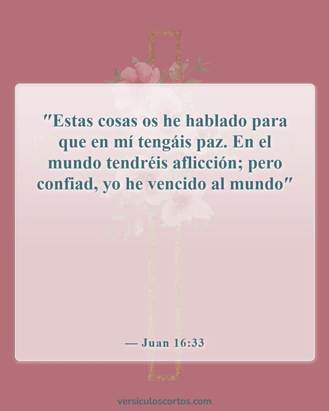 Versículos de la Biblia sobre las tentaciones (Juan 16:33)