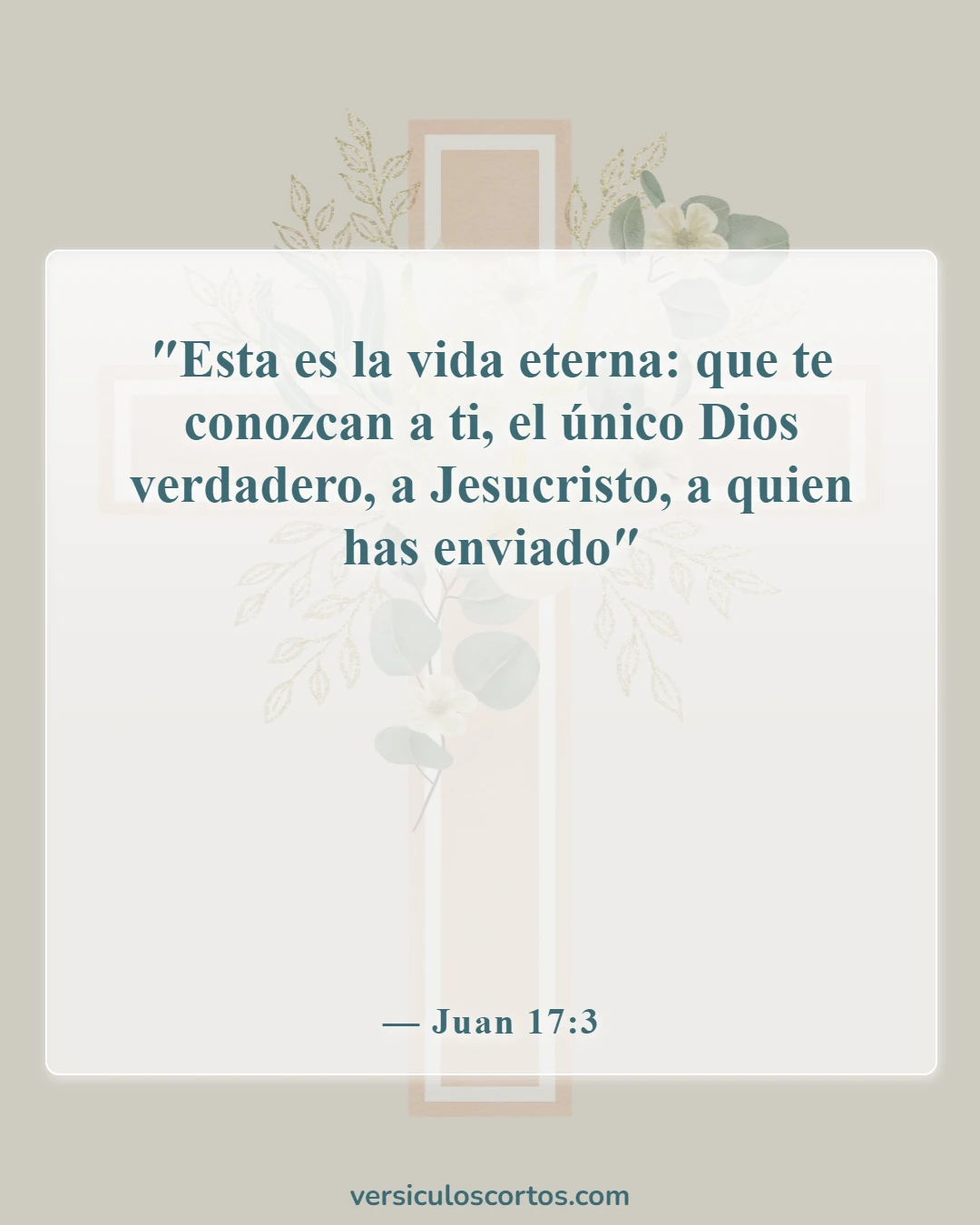 Versículos de la Biblia sobre Jesucristo (Juan 17:3)