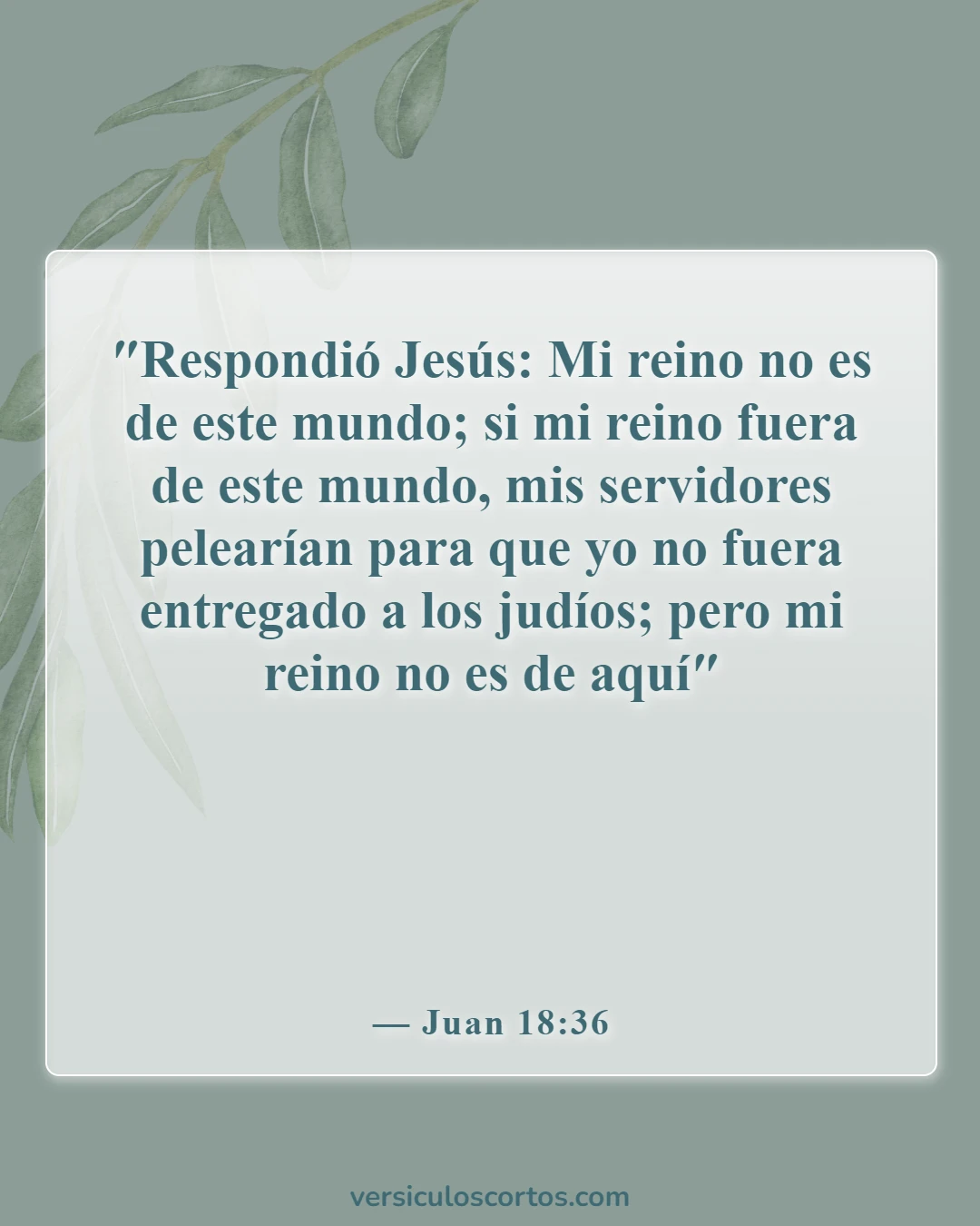 Versículos de la Biblia sobre no ser de este mundo (Juan 18:36)